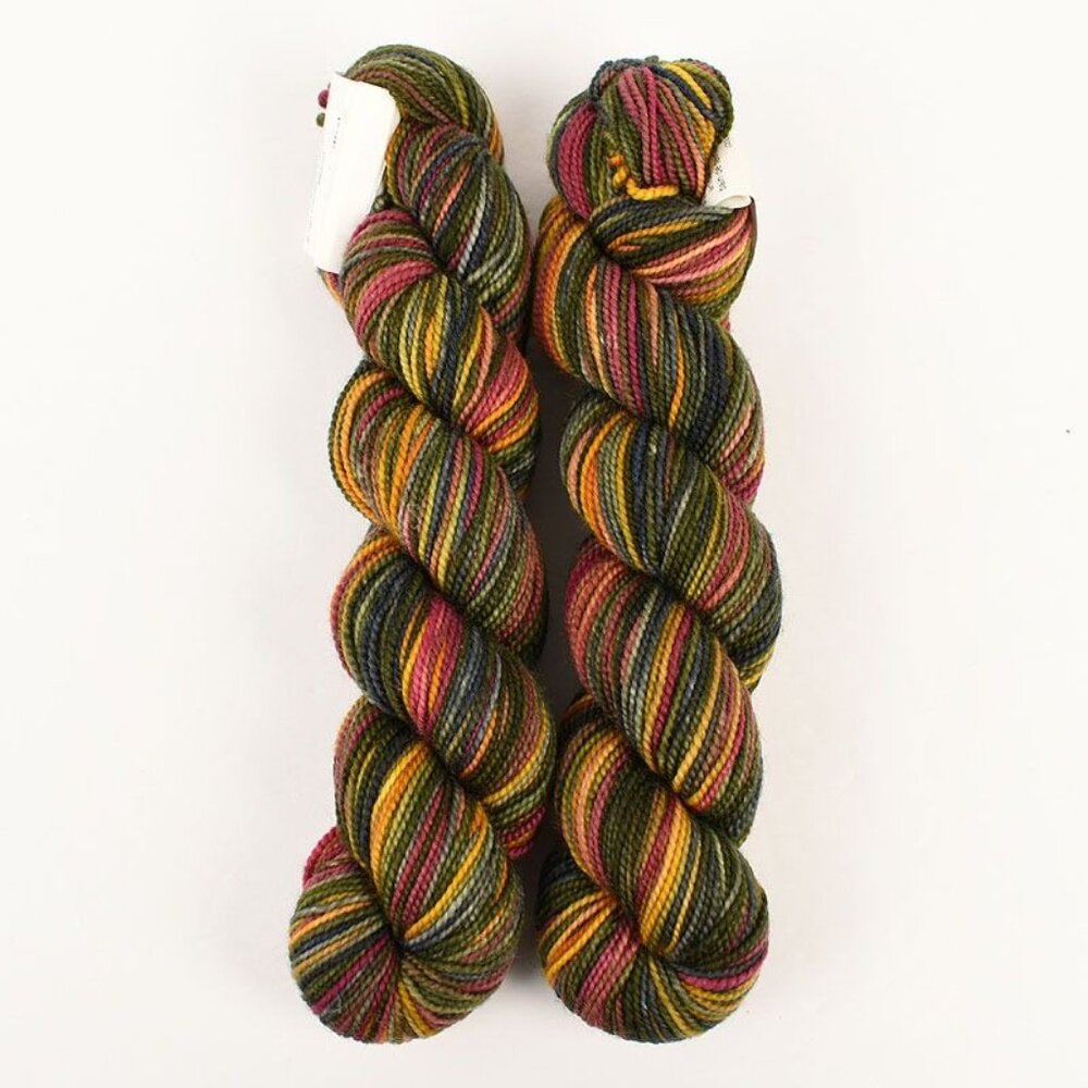 Koigu KPPPM Yarn 2 Skeins Fingering Weight Merino Wool P852